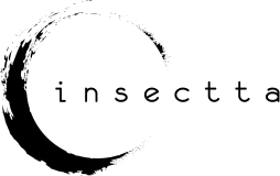 Insectta